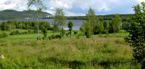 Kulturmark i Maridalen. Foto: Tor Øystein Olsen