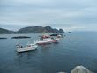Havfiske dag 1 Sørøydagene 2014