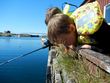 Fiskefestival for barn 2014
