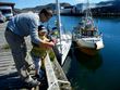 Fiskefestival for barn 2014