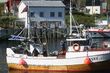 Havfiske dag 2 Sørøydagene 2014