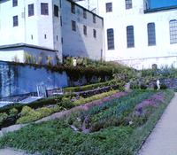 LackoGarden-2