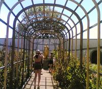 LackoGarden-5