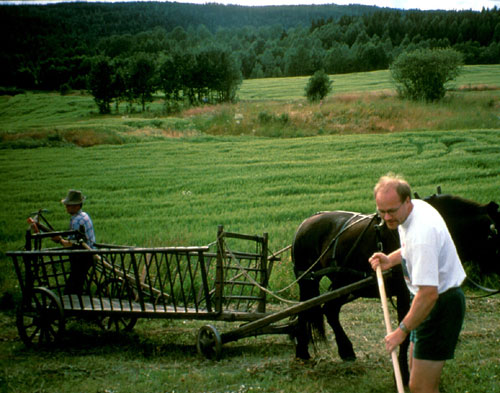 Kirkebyområdet 1995. Foto: Trygve Christensen