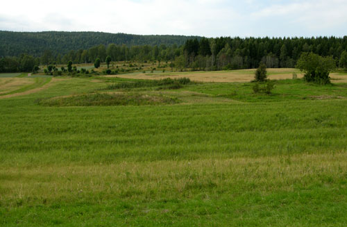Kirkebyområdet 2005. Foto: Tor Øystein Olsen