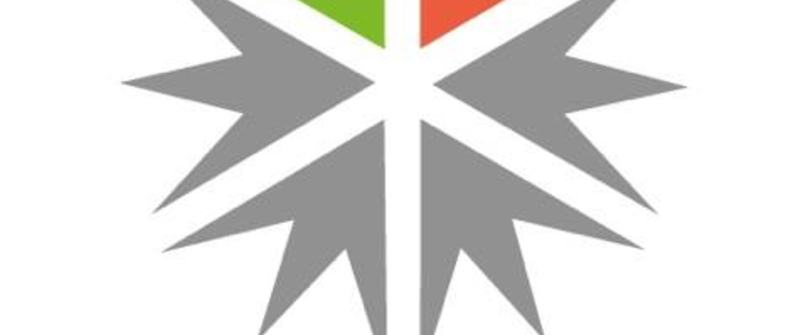 LIM logo II