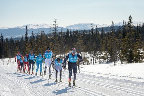Årefjällsloppet och Stockholms Skidspår startar samarbete Fischer, Madshus och Rossignol. FOTO: Årefjällsloppet. Årefjällsloppet och Stockholms Skidspår startar samarbete Fischer, Madshus och Rossignol. FOTO: Årefjällsloppet.
