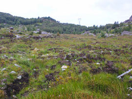 Søkkemyra