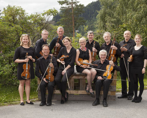 Framme f.v.: Ingrid Heieren, Knut M. Sandal, Elisabet Eikås, Hilde Bjørkum og Sigmund Eikås. Bak f.v.: Terje Rune Vie, Anders Ripe, Anders Eikås, Richard Andersen, Arnfinn Solheim og Ragnhils Bjørkum Vassbotn.