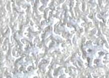 MK01090069