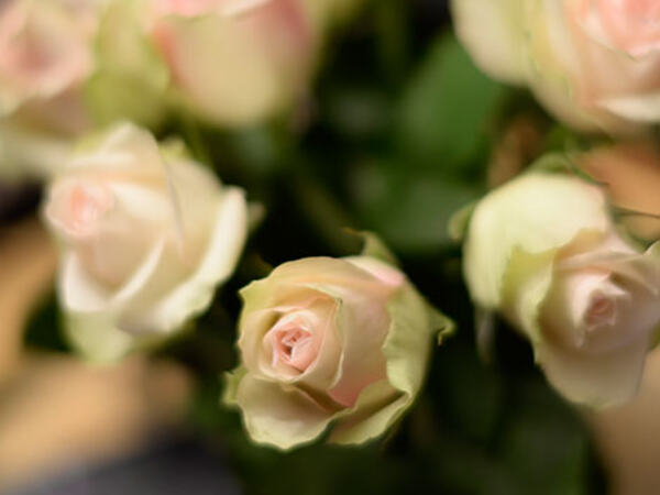 Et normalobjektiv med høy lysstyrke gir mulighet for å ta bilder med selektiv fokus og vakre uskarphetsområder. Her AF-S Nikkor 58 mm f/1.4G.(Foto: Toralf Sandåker).