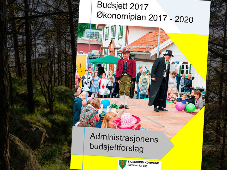 Rådmannens budsjettforslag
