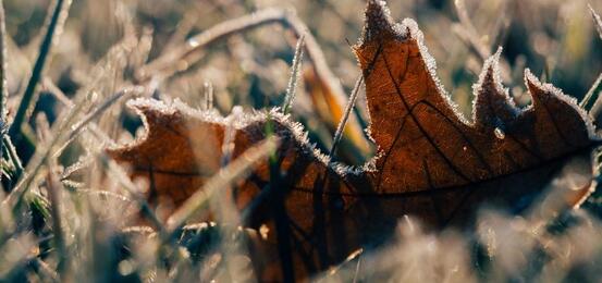Frost høst vinter ute vær Unsplash_cropped_912x428