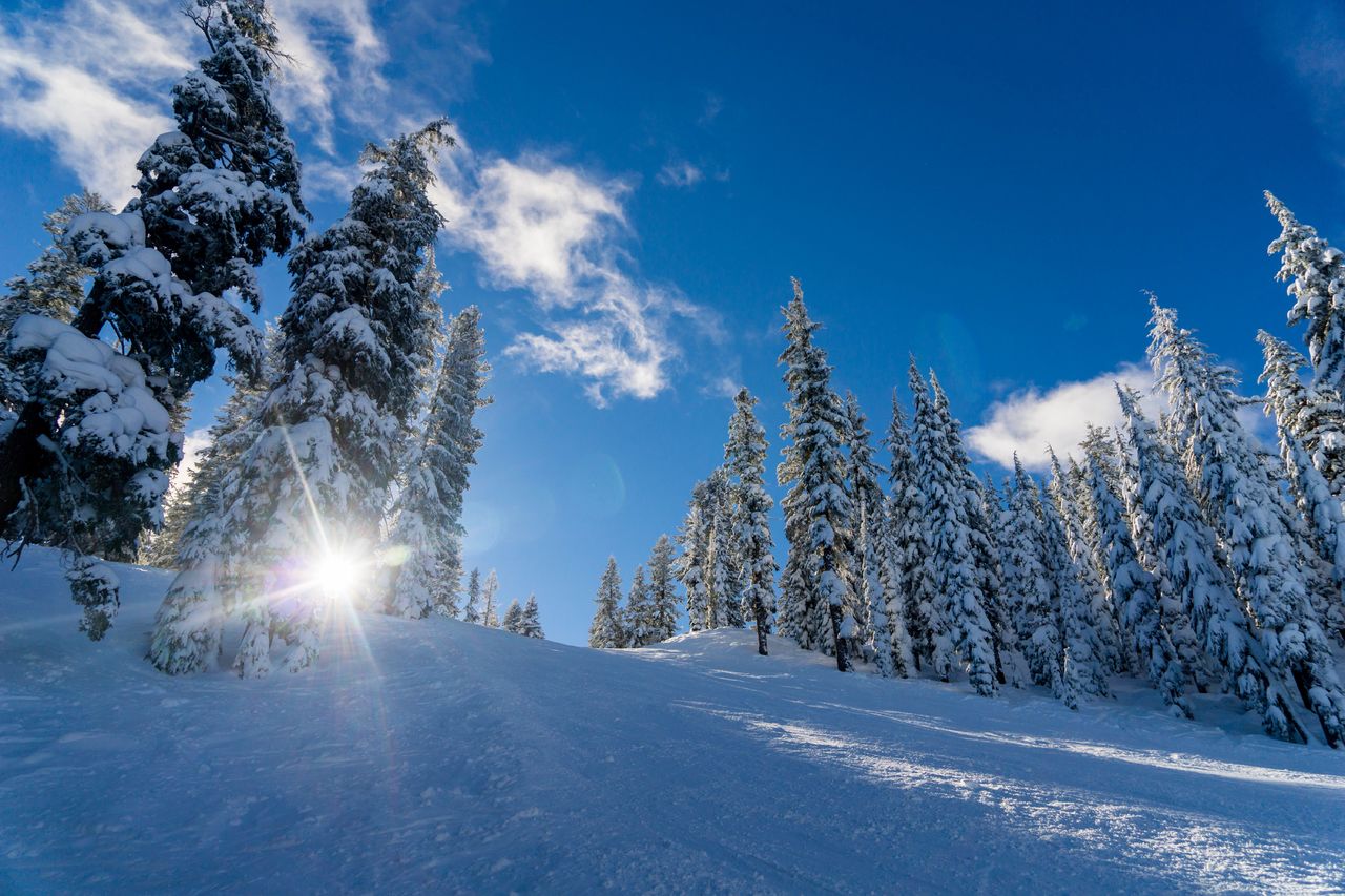 Vinter snø vakkert ute vær ski Unsplash