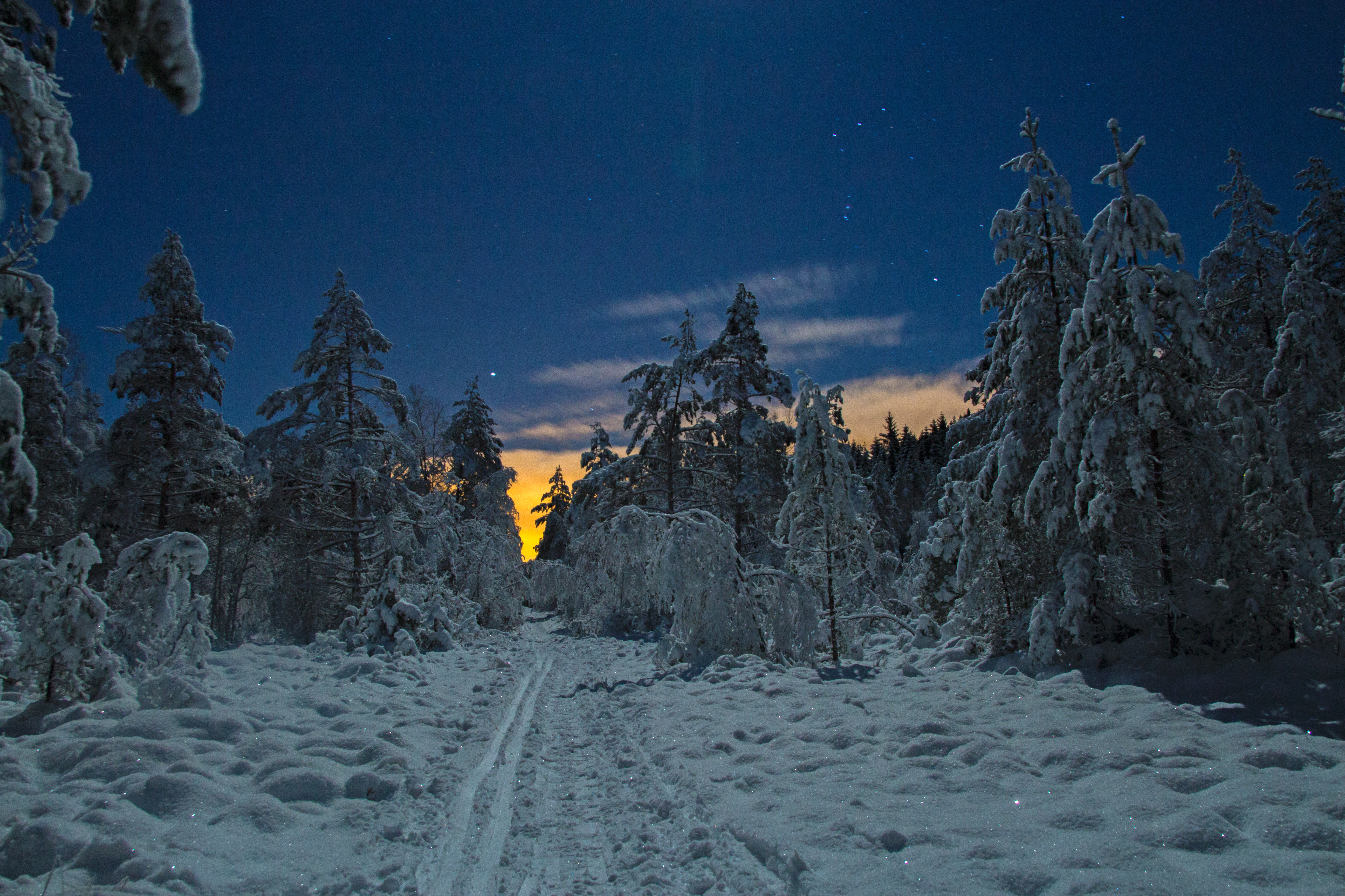 Anders Eidsnes_Orions belte_nattbilete frå skiløypa i skogen på Eikanger.jpg