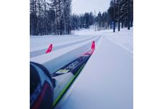 bild_redcreek_170310