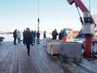 Bussbefaring - Sørvær, Norway Seafoods.JPG