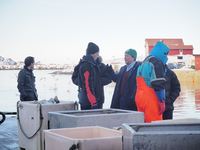 Bussbefaring - Sørvær, Norway Seafoods.JPG