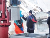 Bussbefaring - Sørvær, Norway Seafoods.JPG