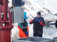 Bussbefaring - Sørvær, Norway Seafoods.JPG
