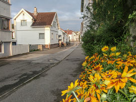 Nyeveien
