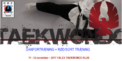 danseminar Islev november 2017