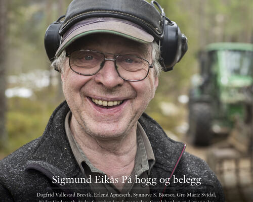 På hogg og belegg