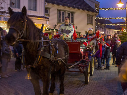 Hest i Julebyen
