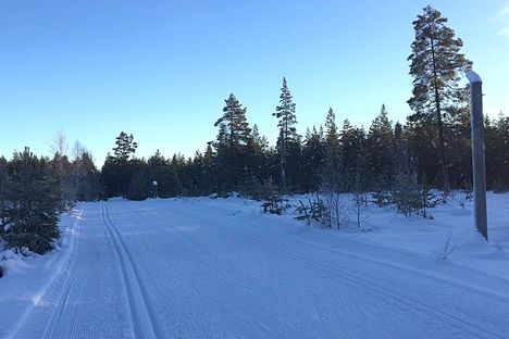 Det råder perfekta förhållanden längs Moraloppets sträckning mellan Oxberg och Mora skidstadion. FOTO: IFK Mora SK. Det råder perfekta förhållanden längs Moraloppets sträckning mellan Oxberg och Mora skidstadion. FOTO: IFK Mora SK.