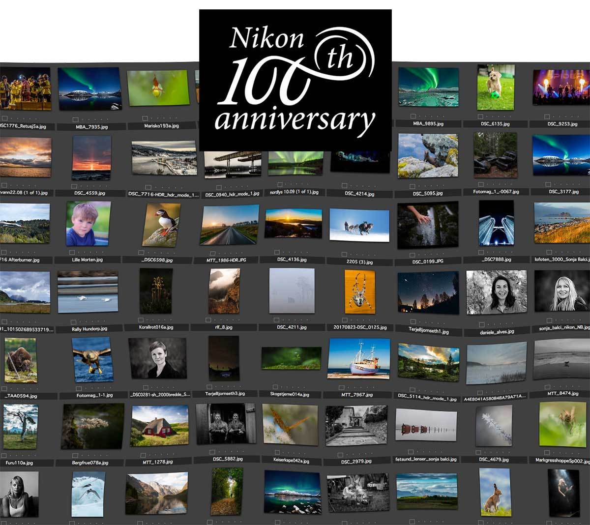 Nikon-100.jpg