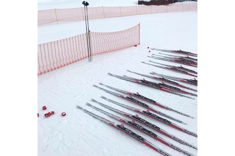 bild_swix_grklitt