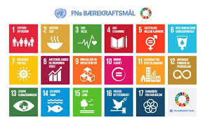 FNs bærekraftsmål.jpg