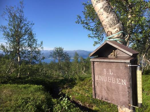 Ved Mollyhytta, Røsvikfjellet
