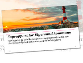 Fagrapport