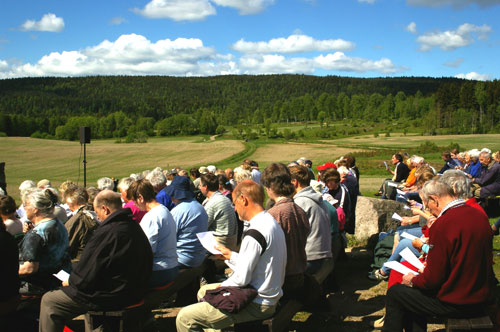 Pinse i Maridalen 2006. Foto: Tor Øystein Olsen