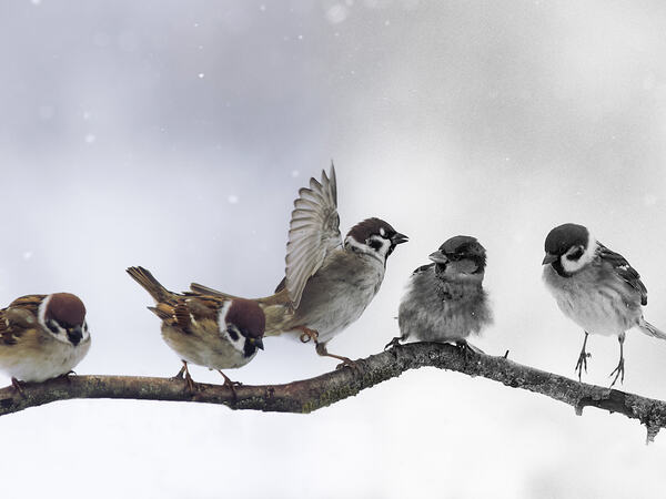 Foto: nataba - Fotolia / Adobe Stock  