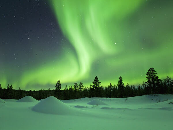 Foto: sara_winter - Fotolia / Adobe Stock  