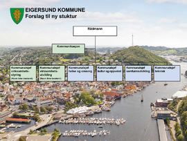Organisasjonskart november 2018