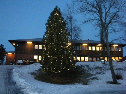 Juletre ved Rådhuset