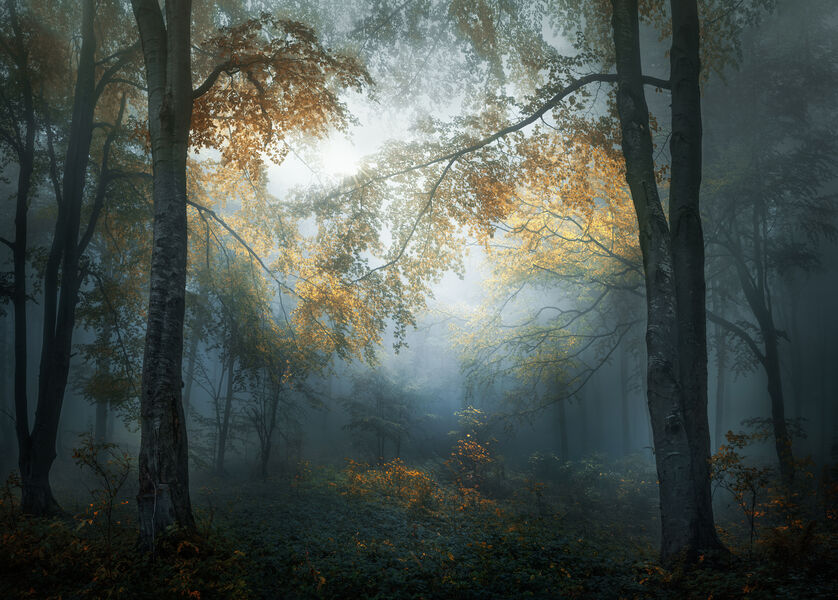 «Early autumn» Copyright: © Veselin Atanasov, Bulgaria. Årets fotograf, Åpen konkurranse og vinner av kategorien landskap og natur, 2018 Sony World Photography Awards.