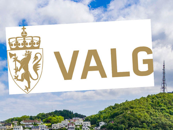 Logo for valg