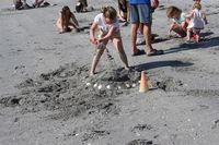 Sandslott og skjellkonkurranse