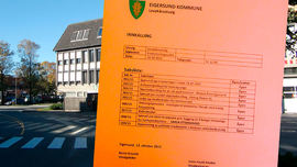 Politiske papirer