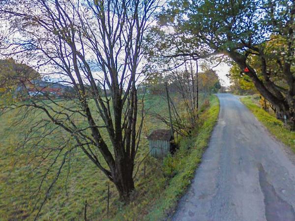 Eiketre på Hellvik