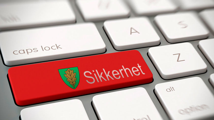 Sikkerhetsmåned