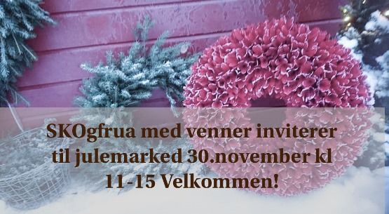 Julemarked hos skogfrua