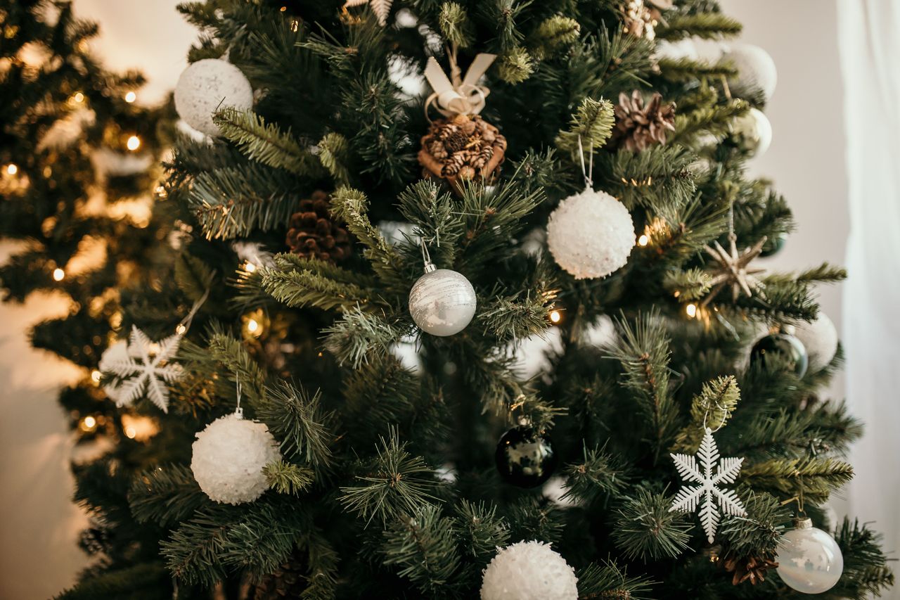 oana craciun 9tzf 7 N 5eyE unsplash