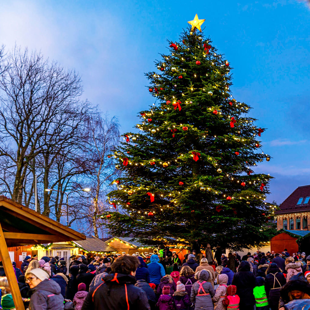 Julebilder