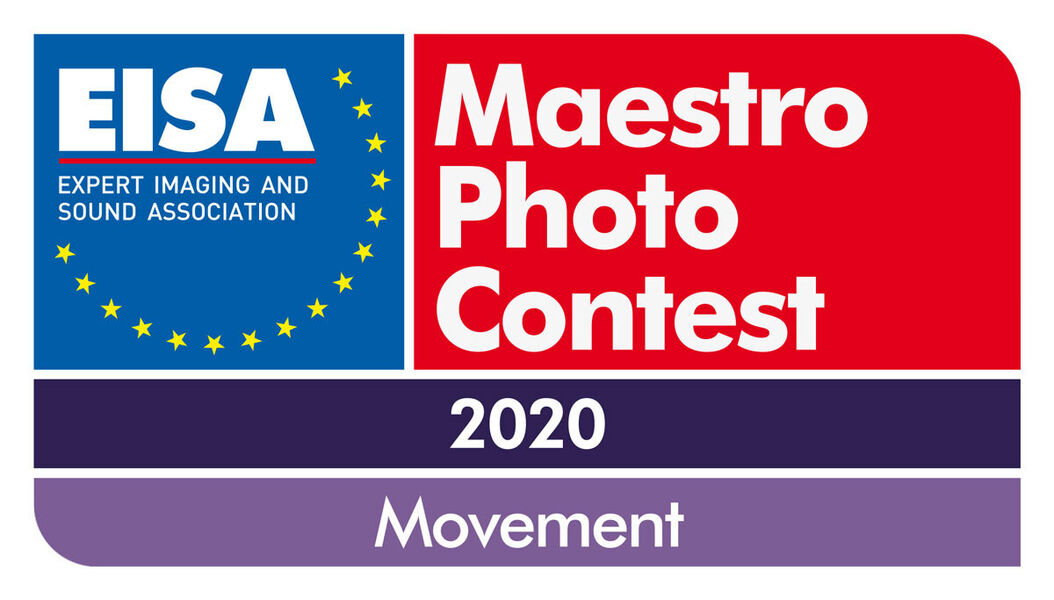 EISA-Maestro-2020-Logo-1200px