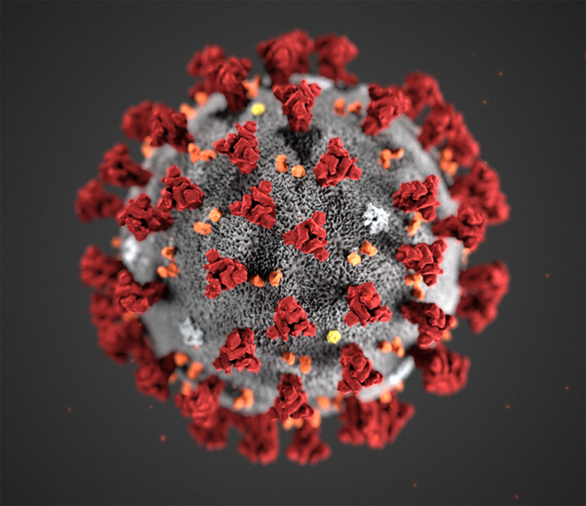 Illustrasjon koronavirus. Foto: CDC, Alissa Eckert
